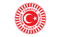 Owl Image