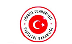 Owl Image