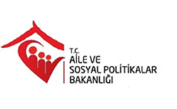 Owl Image